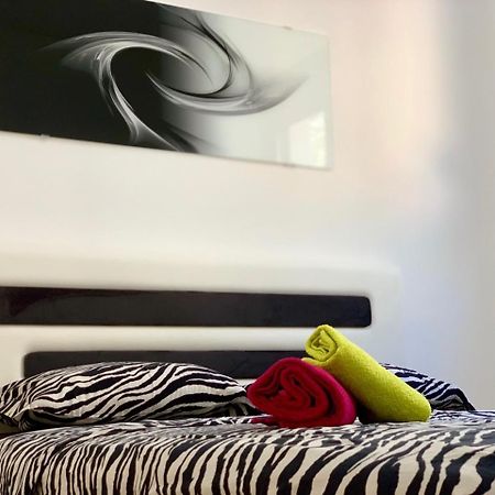 Absolute Apartman Kotor Exterior photo